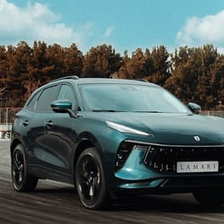 نمایندگی فروش و خدمات پس از فروش لاماری فلاحی در یزد - کد 3502