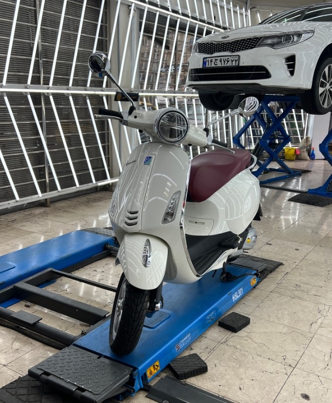 تشخیص رنگ وسپا در نقیبی.jpg