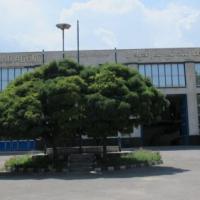 نمایندگی و تعمیرگاه مرسدس بنز امیرعابدینی در تبریز - کد 4101